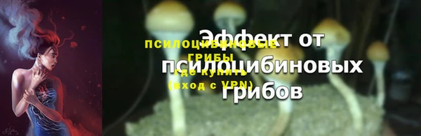 прущая мука Кукмор