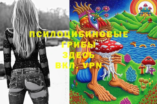 а пвп мука Куйбышев