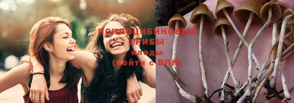 MESCALINE Лагань