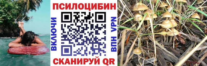 Галлюциногенные грибы Magic Shrooms  наркота  Якутск 