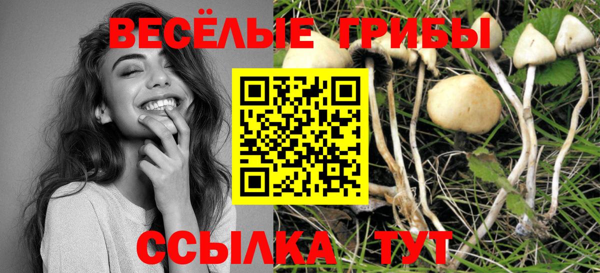 Галлюциногенные грибы GOLDEN TEACHER Якутск