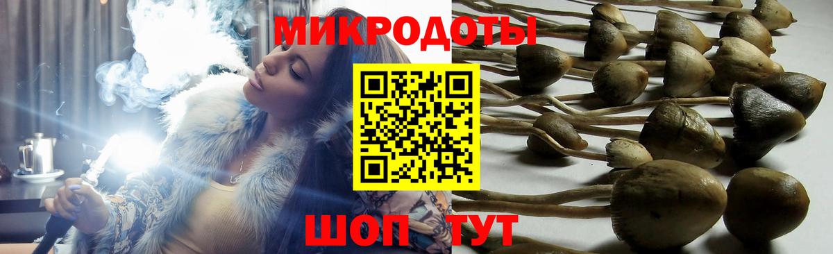 Псилоцибиновые грибы GOLDEN TEACHER  Вход с VPN  Якутск 