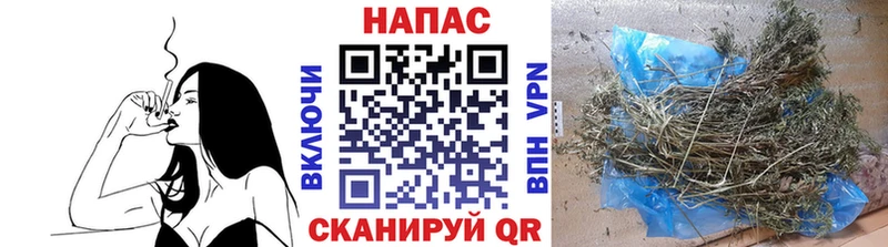 Бошки марихуана план  Якутск 